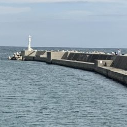 お久しぶりです。タチウオさん！！