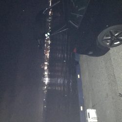 タチウオとサバ交互に