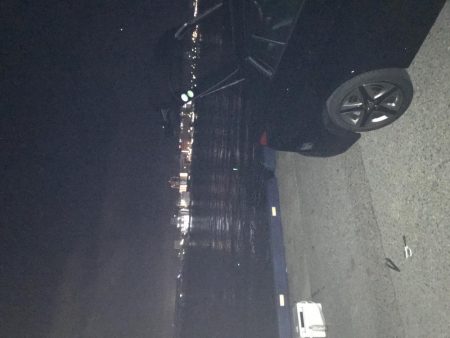 タチウオとサバ交互に