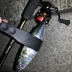 アーバンサイドアジング