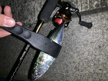 アーバンサイドアジング