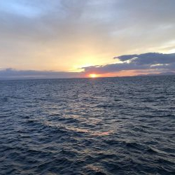 エギング遠征からホームグランドへ