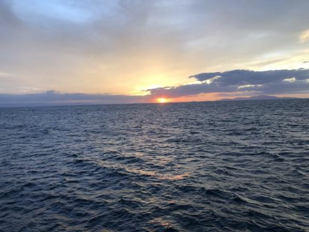 エギング遠征からホームグランドへ