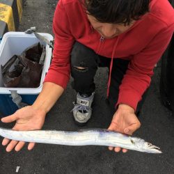 太刀魚 中サバ アジング