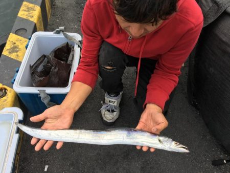 太刀魚 中サバ アジング