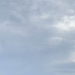 思いがけないゲスト