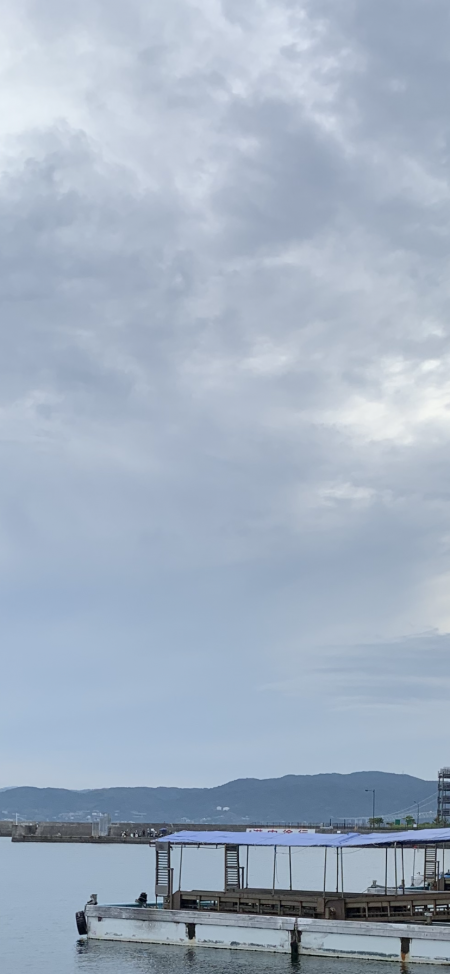 思いがけないゲスト