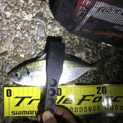 アジングのはずが