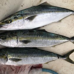 スローでジギング