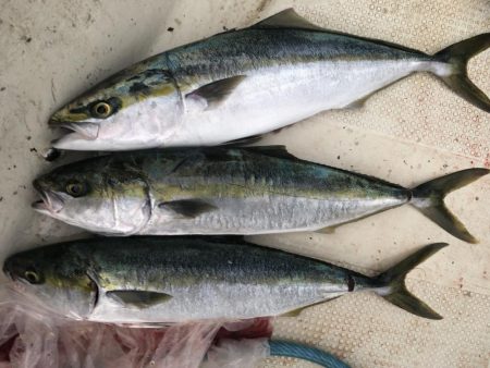 スローでジギング