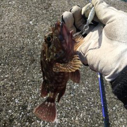 沖堤防でショアジギング