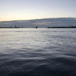 タチウオかと思いきや、大サバ！