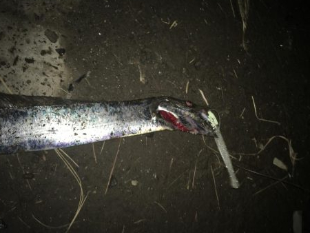 ガツン！が楽しい