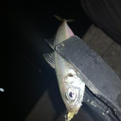 アーバンサイドアジング