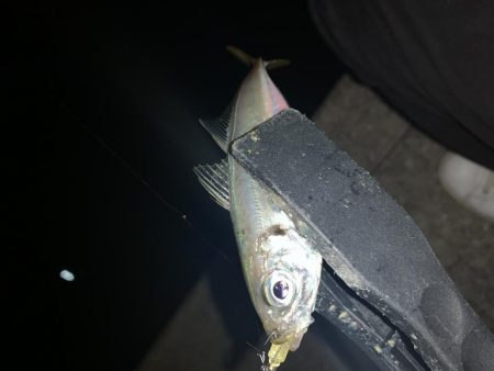 アーバンサイドアジング