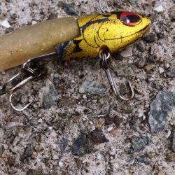 タチウオまだまだ渋い