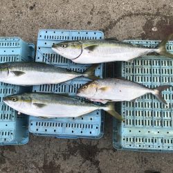 あたりは多いが