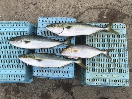 あたりは多いが