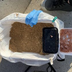 今年初の紀州釣り〜