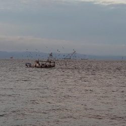 ポーアイ沖堤防にて