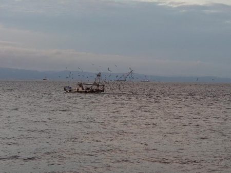 ポーアイ沖堤防にて