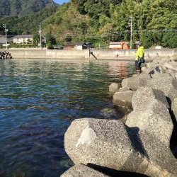 エギング晴天釣行