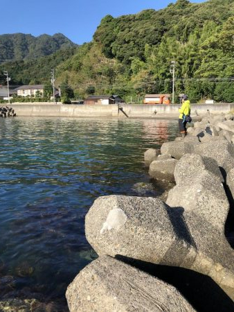 エギング晴天釣行