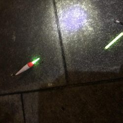 太刀魚爆釣！！