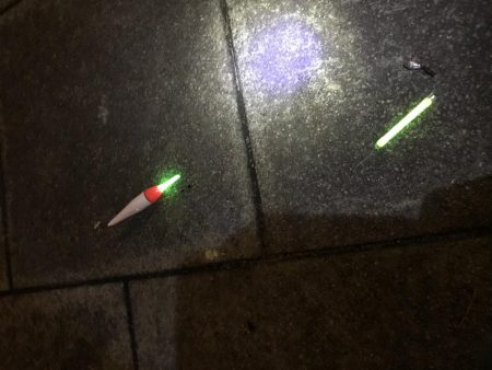 太刀魚爆釣！！