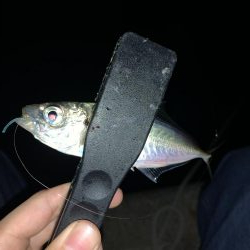 アーバンサイドアジング