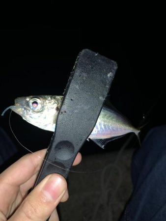 アーバンサイドアジング