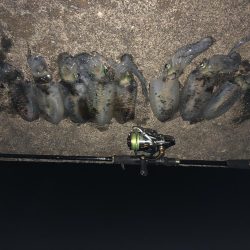 台風前に友達と行ってきました