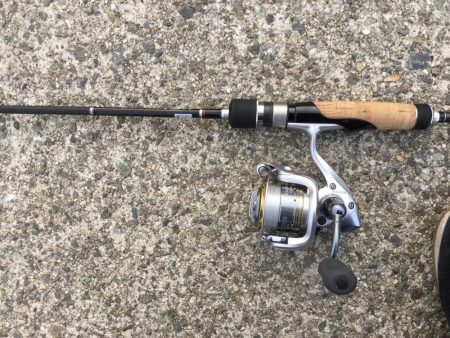 夕マヅメのアジング