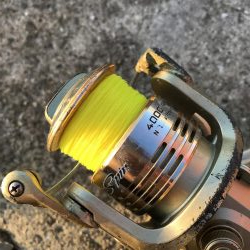 10月16日太刀魚ハマチ