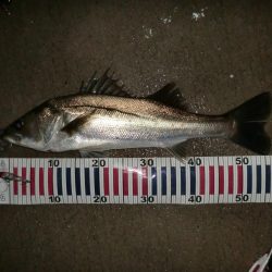 秋の深まりと共に