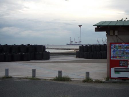 南芦屋浜　満足のサヨリ釣果