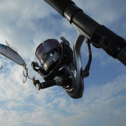 1時間半で青物4ヒット♪