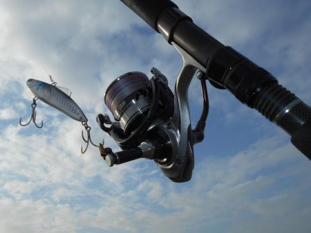 1時間半で青物4ヒット♪