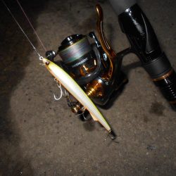 もうランカーでええや～ん