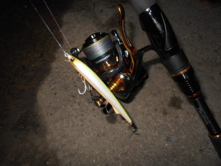 もうランカーでええや～ん