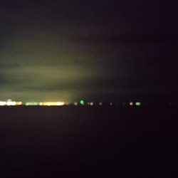 早朝短時間勝負！！！