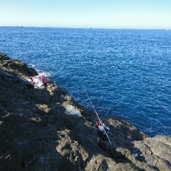 須江でグレ釣り
