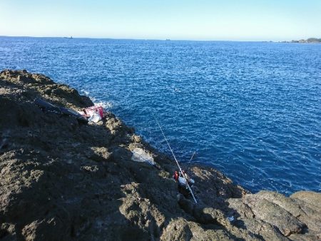 須江でグレ釣り