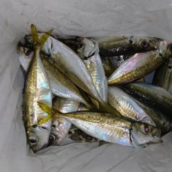 メタルアジング？！