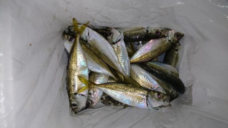 メタルアジング？！