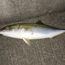 今日はいい日だ❗