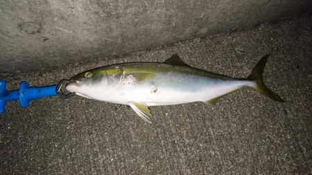 今日はいい日だ❗