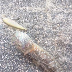 職場の仲間と旅行