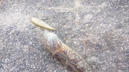 職場の仲間と旅行