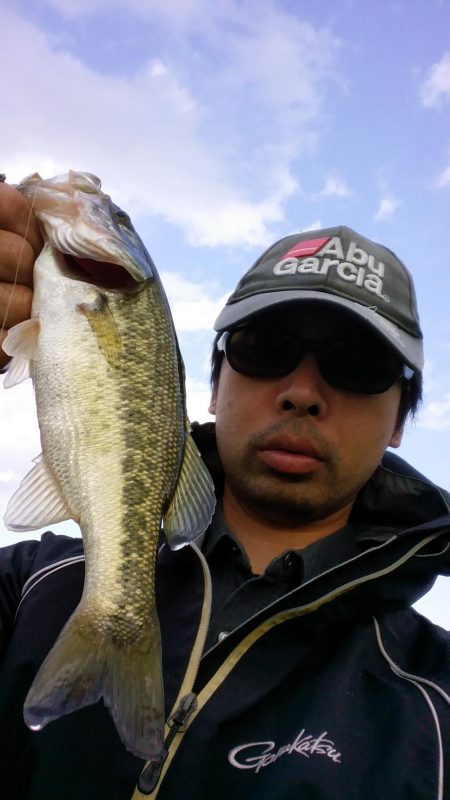 ルアーサイズが大事です